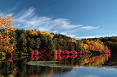 紅葉風景