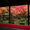 京都の秋 - 圓光寺