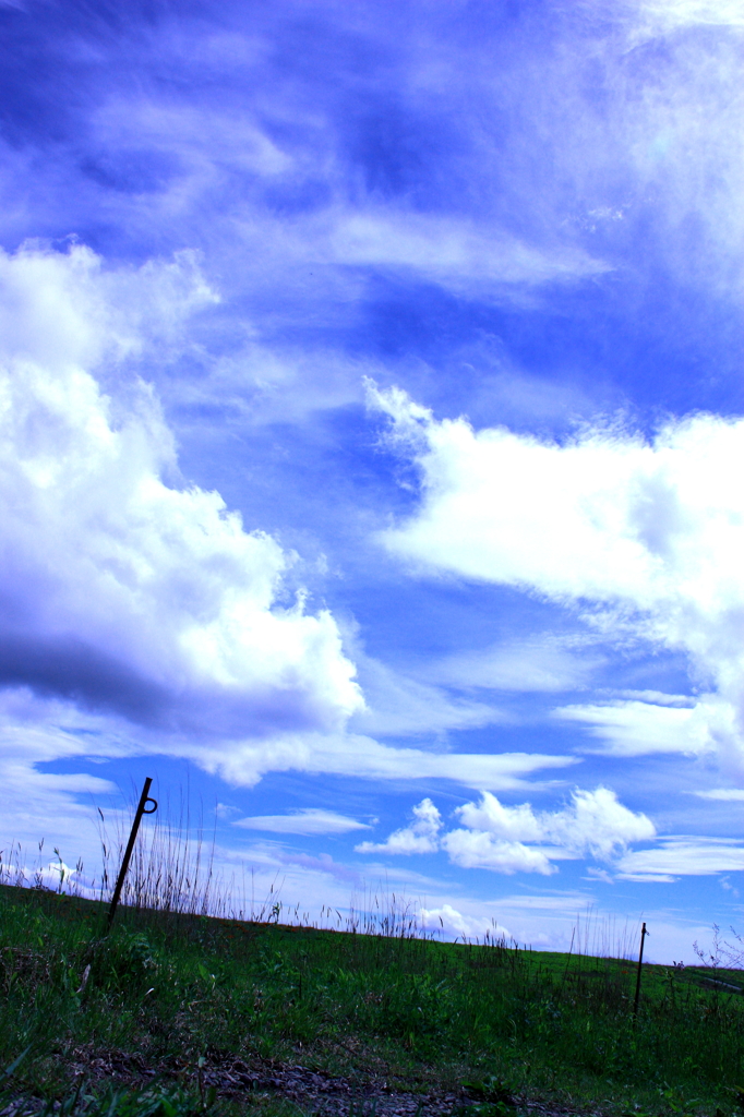 早く来い青空