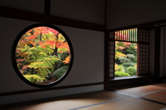 京都の秋 - 源光庵2
