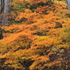 鎌池の紅葉