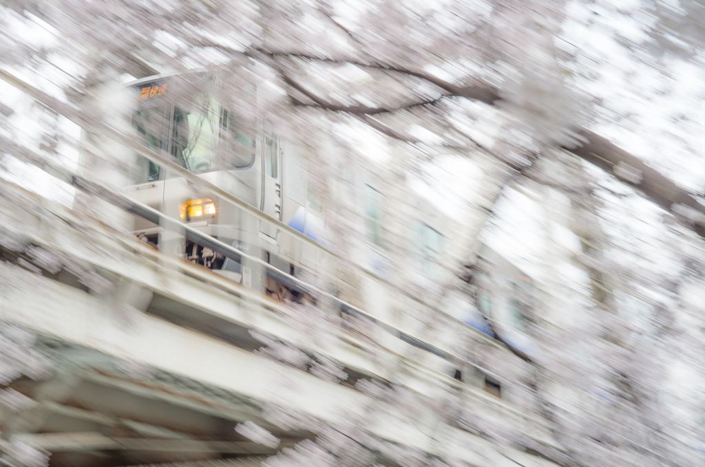 毛馬桜ノ宮公園