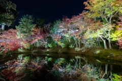 高台寺ライトアップ