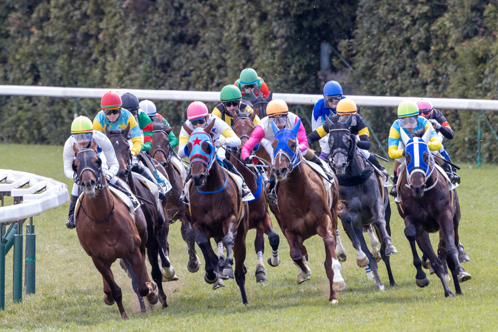 競馬場デビュー