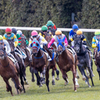 競馬場デビュー