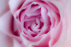 a spiral