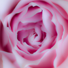 a spiral