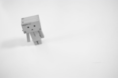 独
