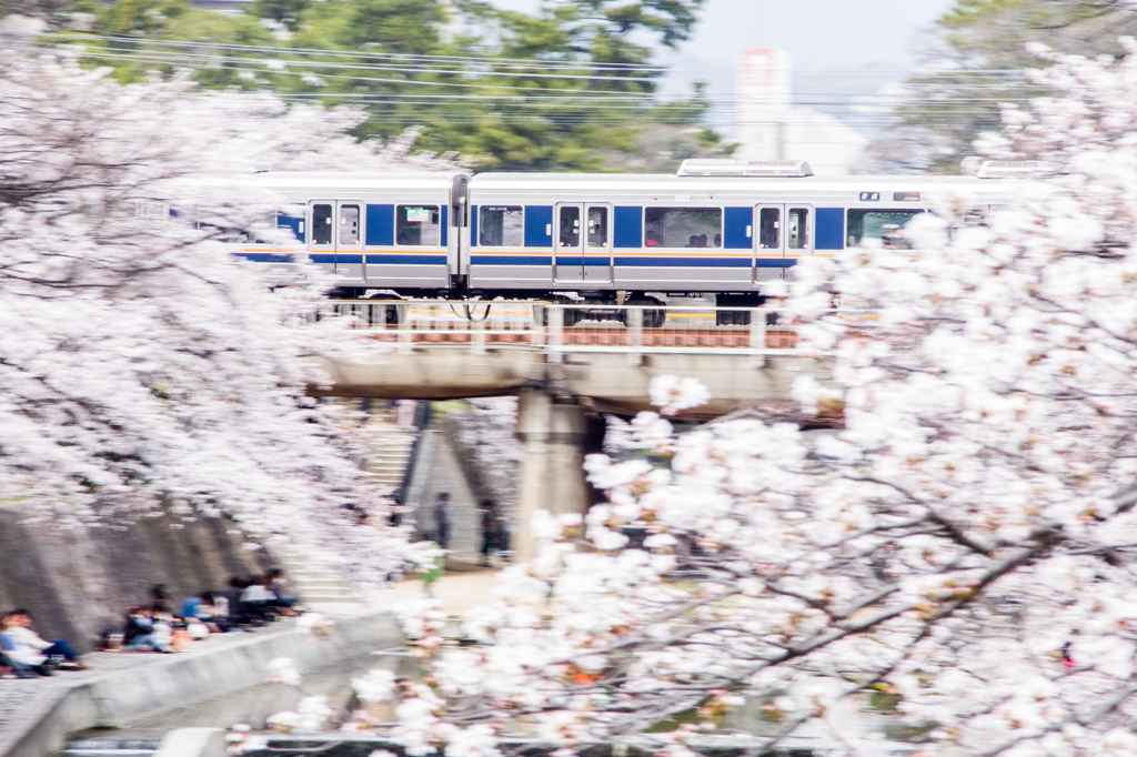 夙川橋から