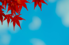 ある秋の空