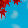 ある秋の空
