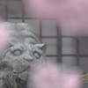 吽