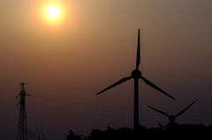 wind farm