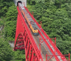 トロッコ電車 × 新山彦橋