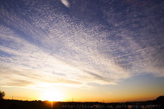 冬のうろこ雲