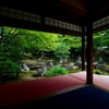 晩夏の圓徳院