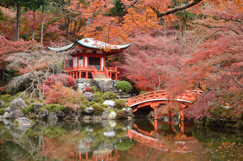 醍醐寺　秋の終わり