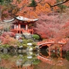 醍醐寺　秋の終わり
