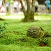 埋められても笑顔