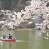 幸せ運ぶ春