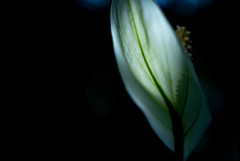 植物公園にて-1