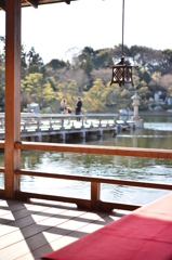 初春の三景園-10