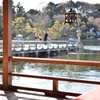 初春の三景園-10