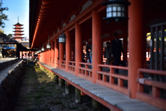 宮島_06