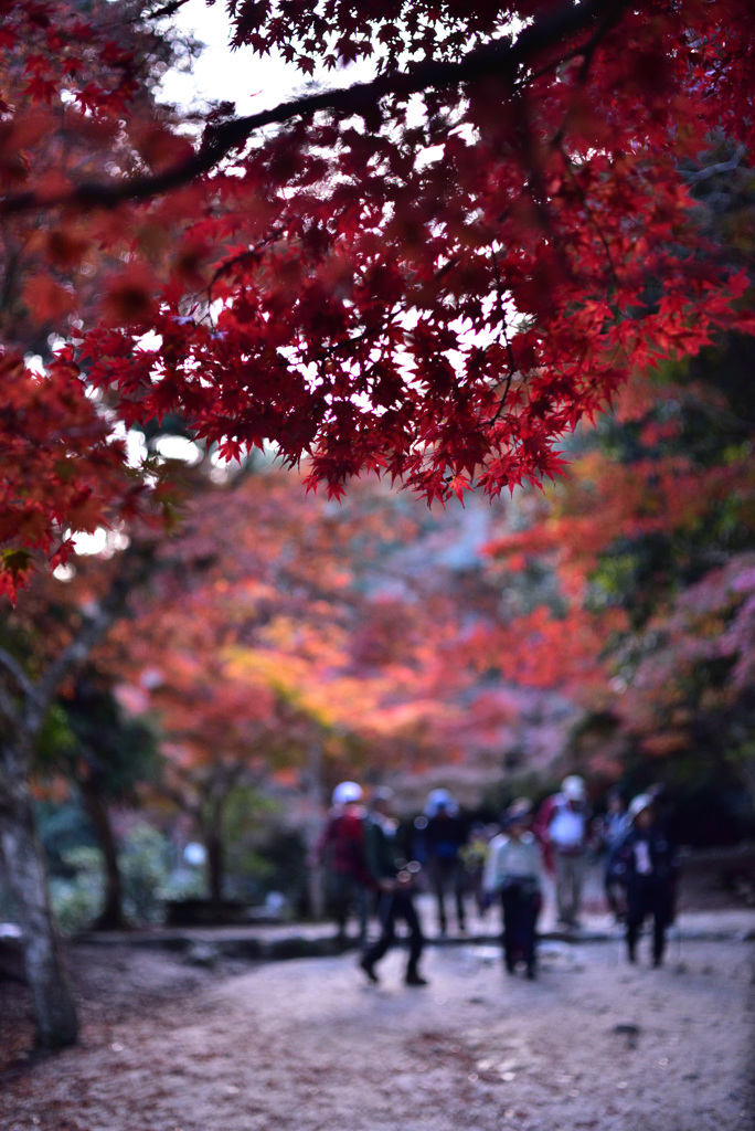 宮島_01