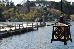 初春の三景園-6