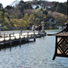 初春の三景園-6