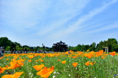 備北丘陵公園－１