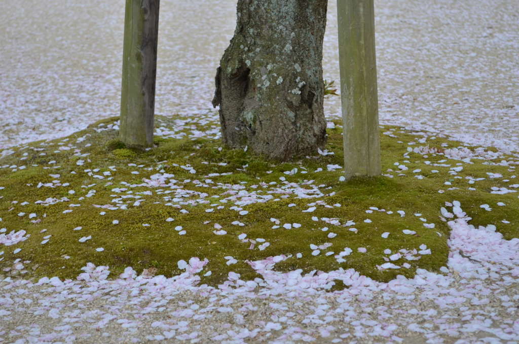 耕三寺　９