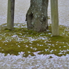 耕三寺　９