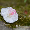 耕三寺　６