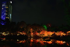 縮景園　ライトアップ　３