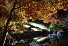 三景園_01