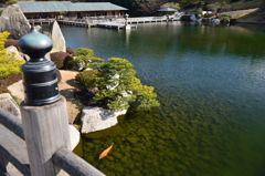 初春の三景園-3 【一人ぼっちの恋】