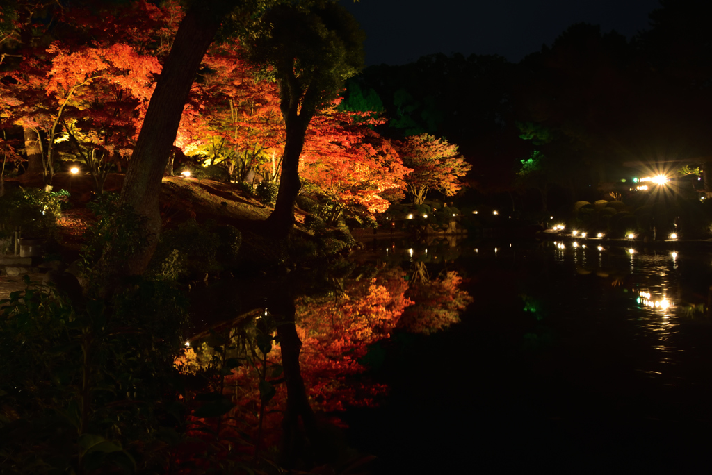 縮景園　ライトアップ　４