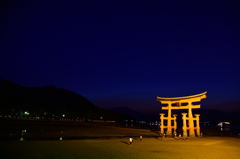 Light up 鳥居－２