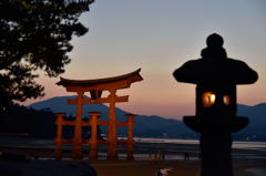 Light up 鳥居－１
