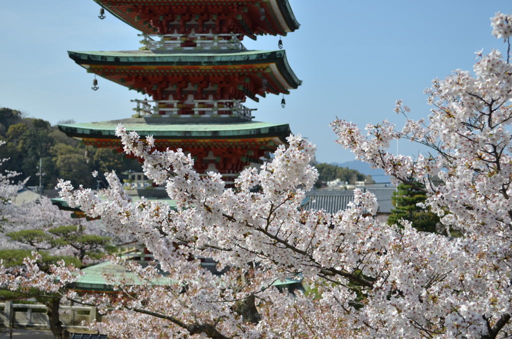 耕三寺　２