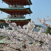 耕三寺　２