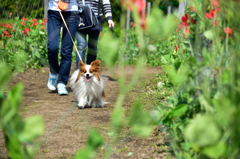 備北丘陵公園－４