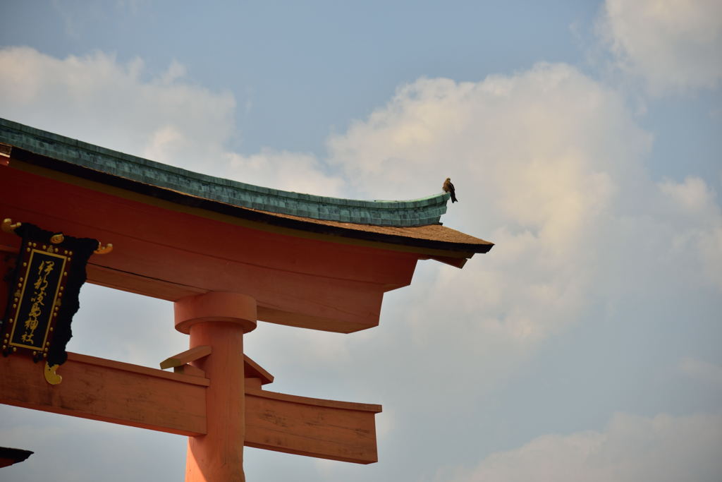 鳥居に鳥