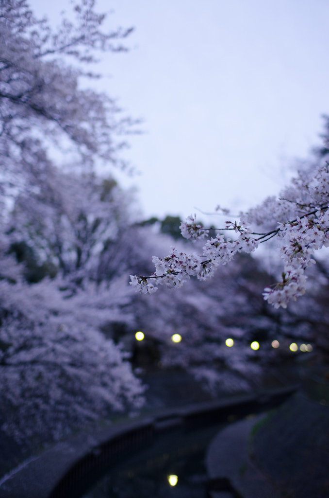 花冷え