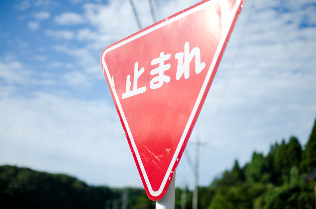 恋をとめないで