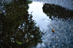 秋雨の跡