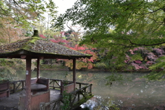 紅葉　京都府立植物園