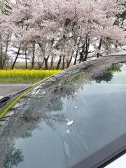 春よありがとう